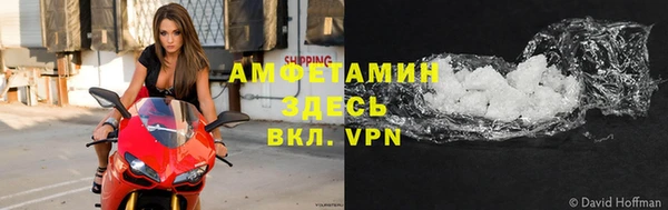 амф Ельня