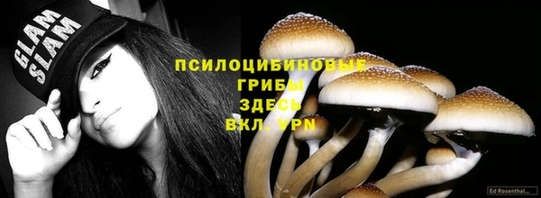 амф Ельня