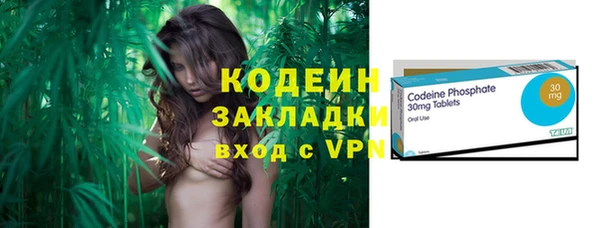 гашик Елизово