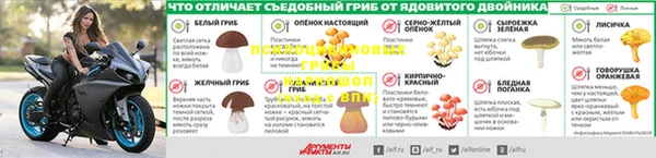 амф Ельня