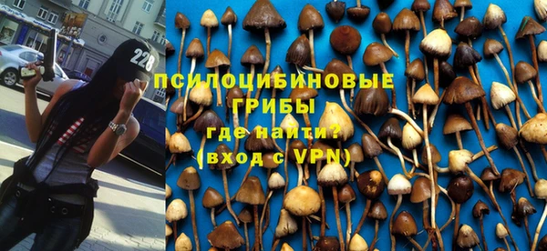 мет Дмитриев