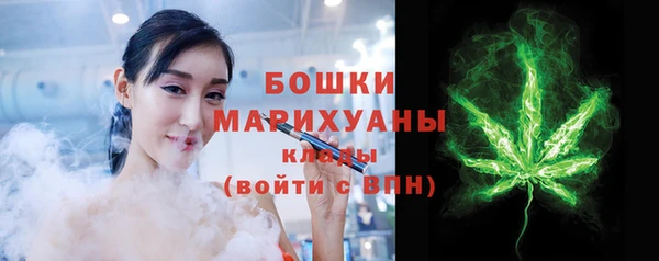 амф Ельня