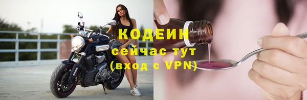 амф Ельня
