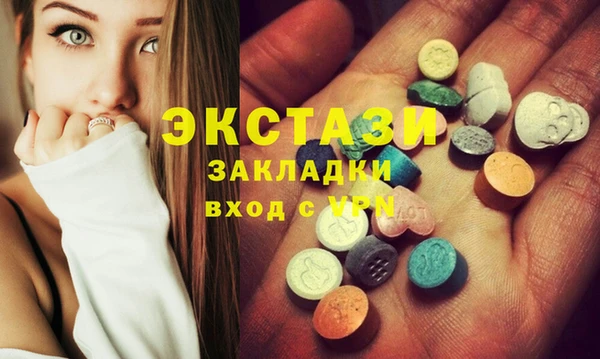 амф Ельня