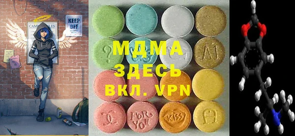 амф Ельня