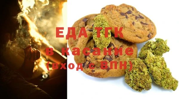 амф Ельня