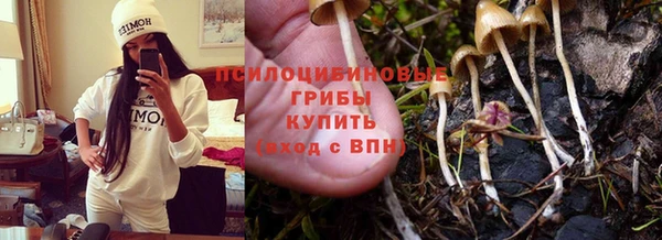 бошки Елабуга