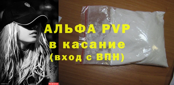 амф Ельня