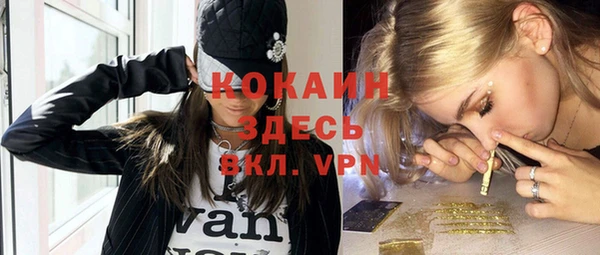 гашик Елизово