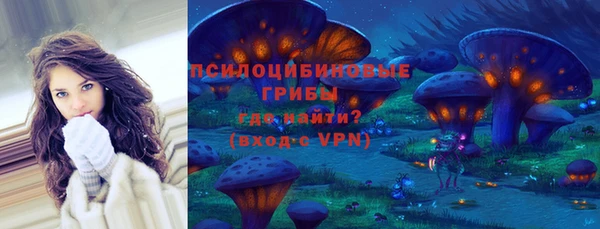гашик Елизово