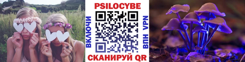 Купить закладки  Зеленогорск  Псилоцибиновые грибы ЛСД 